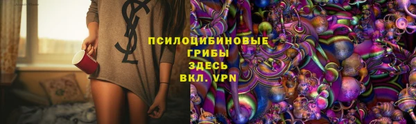 jwh Аркадак